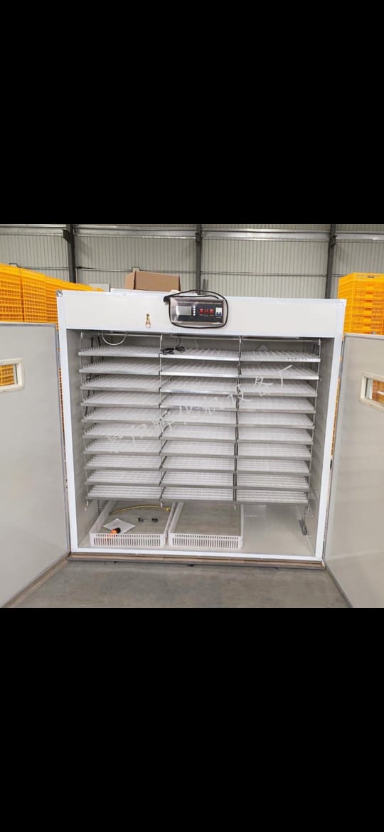 3168 Eggs Digital Automatic Electric Grade 1 Incubator