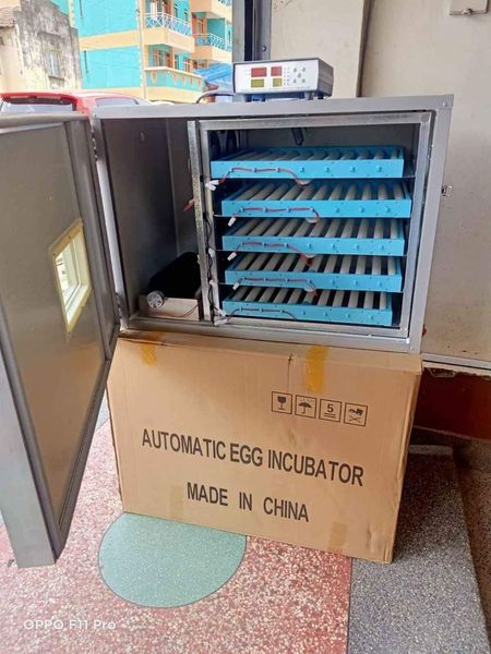 350 Eggs Digital Automatic Solar/Electric Grade 1 Incubator