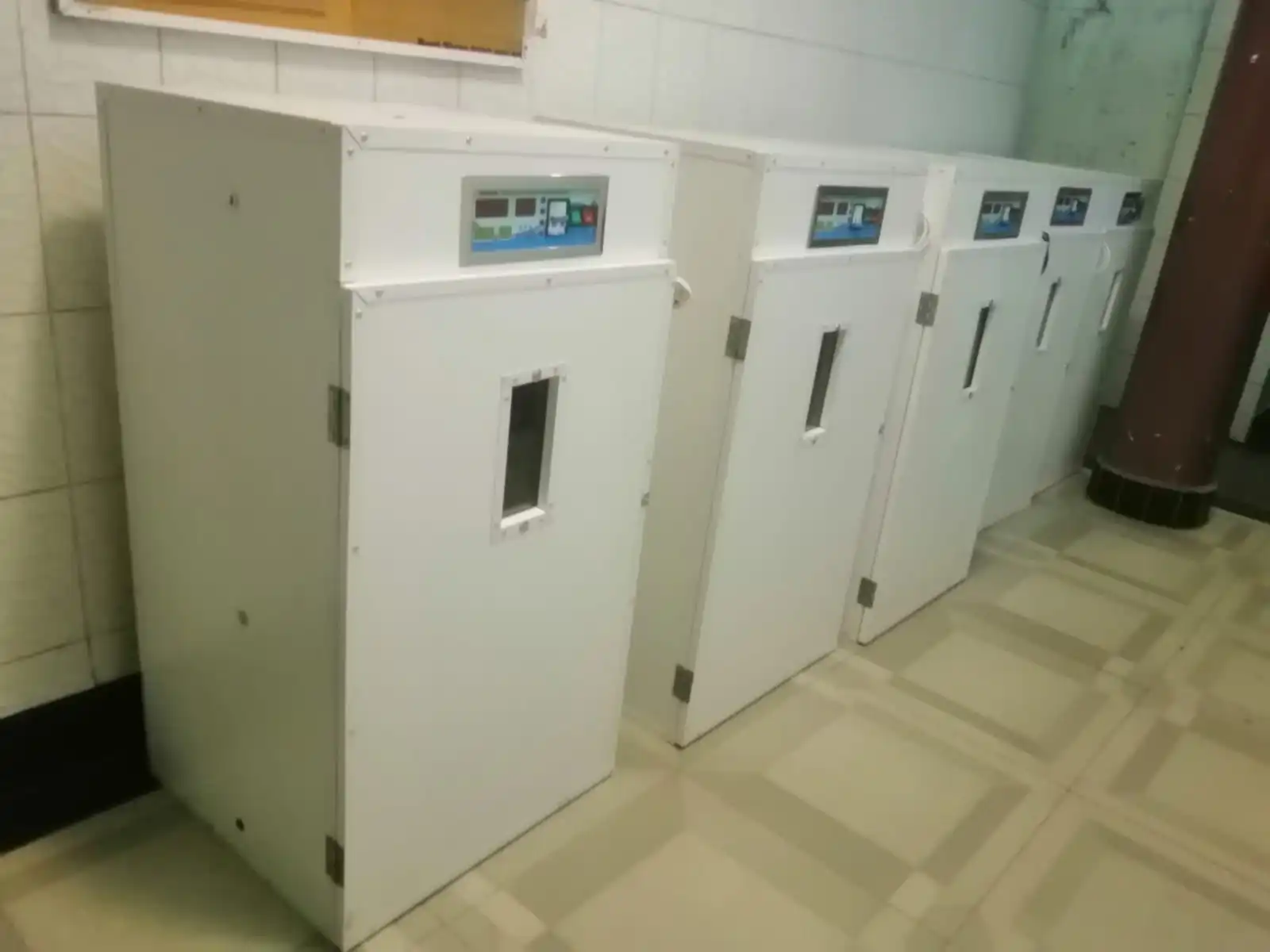 704 Eggs Digital Automatic Incubator