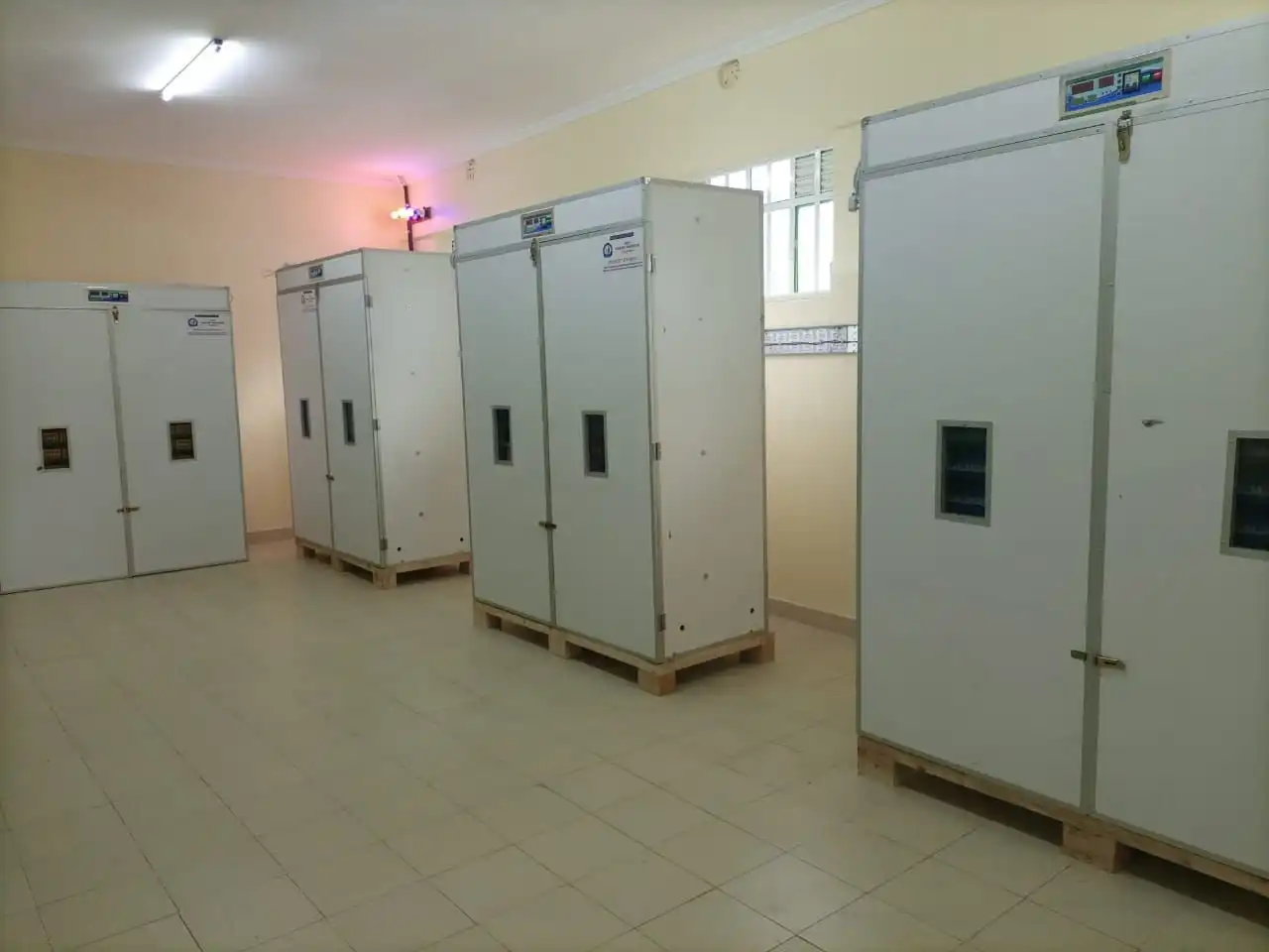 5280 Eggs Digital Automatic Incubator
